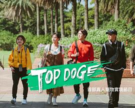 福利小视频《TOP DOG》免费在线观看