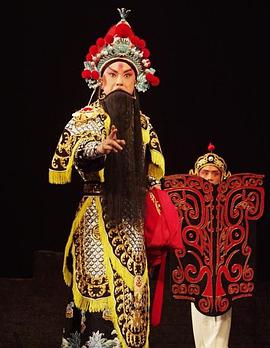 秀秀直播《袁崇焕2009》免费在线观看