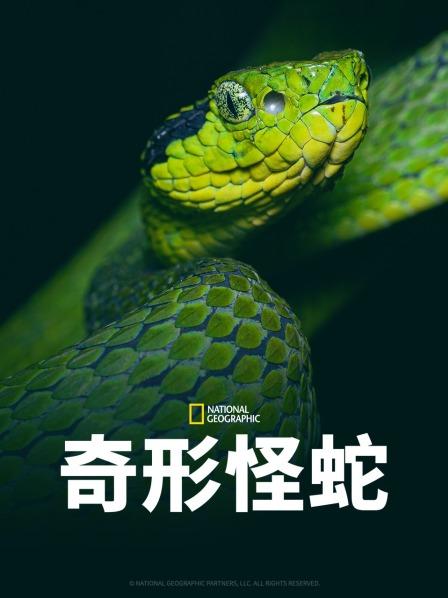 秀秀直播《奇形怪蛇》免费在线观看